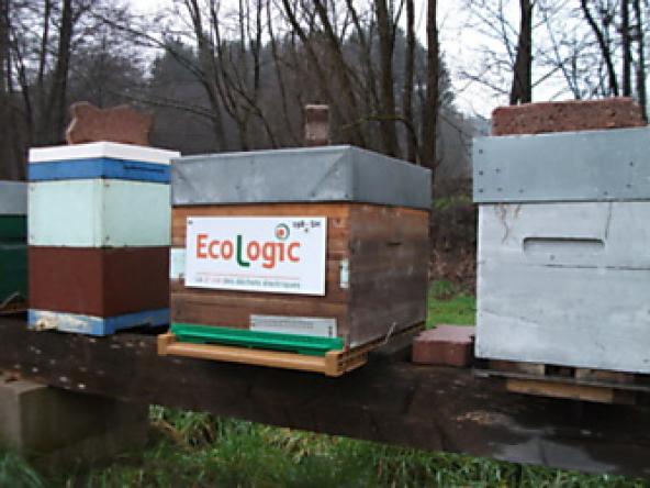 Opération "un toit pour les abeilles" : un an déjà !